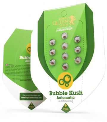 сорт Bubble Kush Automatic
