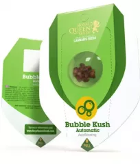 заказать семена Bubble Kush Automatic