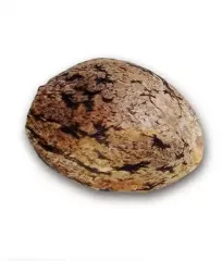 купить семена Caramelo от Delicious Seeds