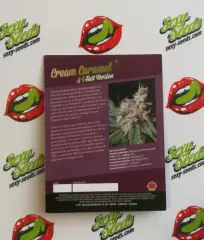 Cream Caramel F1 Fast Version Sweet Seeds