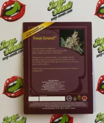 Cream Caramel Sweet Seeds