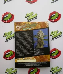 Crystal Candy F1 Fast Version Sweet Seeds