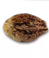 замовити сорт канабісу Deep Mandarine