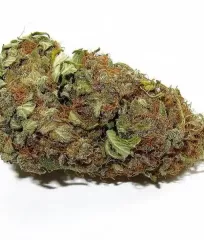 заказать почтой Delicious Candy от Delicious Seeds