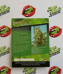 Green Poison F1 Fast Version Sweet Seeds