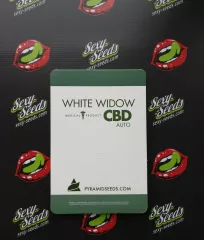 Auto White Widow CBD Pyramid Seeds
