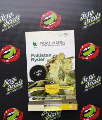 Pakistan Ryder World Of Seeds