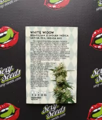 White Widow Amsterdam Seeds
