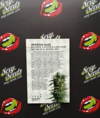 Amnesia Haze семена марихуаны