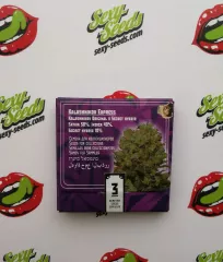 калашников экспресс семена