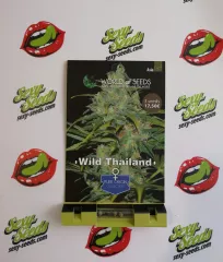 Wild Thailand World Of Seeds