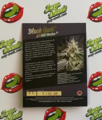 зерна коноплі Black Jack F1 Fast Version Sweet Seeds