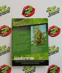 Green Poison F1 Fast Version Sweet Seeds