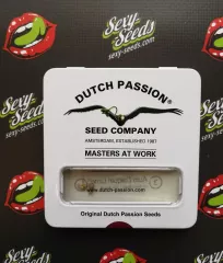 семена конопли Auto Daiquiri Lime Dutch Passion
