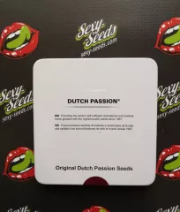 зерна каннабиса Auto Daiquiri Lime Dutch Passion