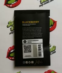 Blackberry FastBuds