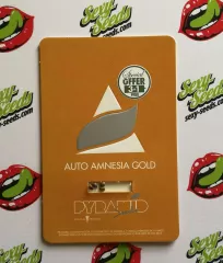 Auto Amnesia Gold pyramid seeds