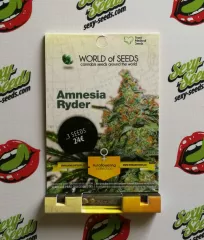 Amnesia Ryder World Of Seeds