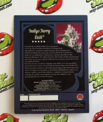 Indigo Berry Kush