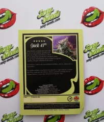 Jack 47 Sweet Seeds