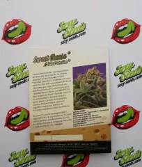 Sweet Cheese Fast Sweet Seeds