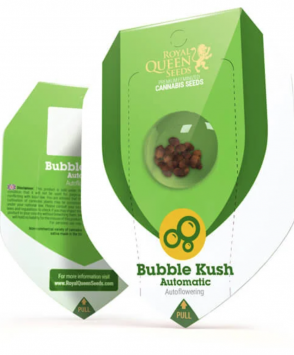 заказать семена Bubble Kush Automatic