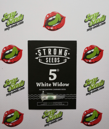 White Widow Auto Strong Seeds