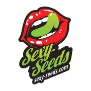 Sexy Seeds