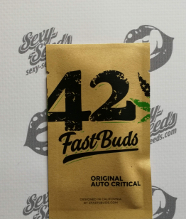 Original Auto Critical fastbuds